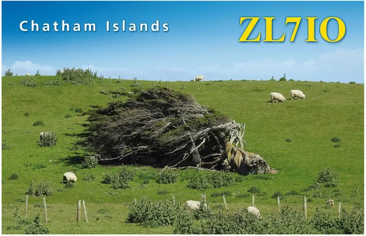 ZL7IO